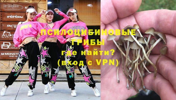 дмт Абинск