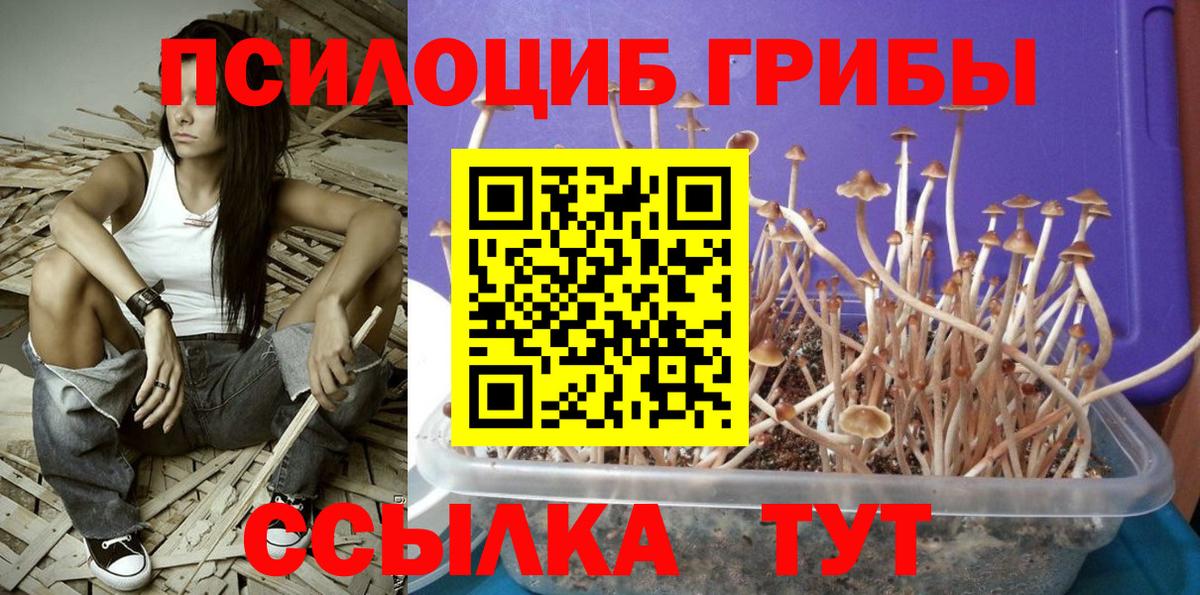Псилоцибиновые грибы Psilocybine cubensis  Псилоцибиновые грибы ЛСД  Краснодар  Вход с VPN 
