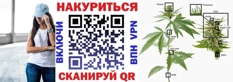 где можно купить наркотик Краснодар Шишки марихуана Ganja